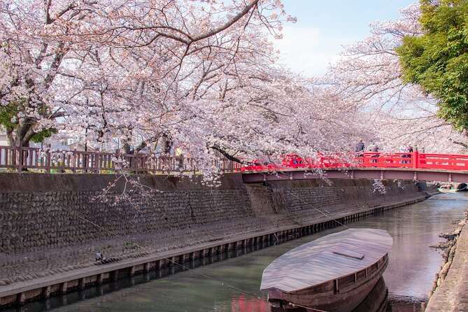 Sakura 1 Day Tour With Charter Train and Boat From Nagoya - Exploring Nagoyas Sakura Blossoms