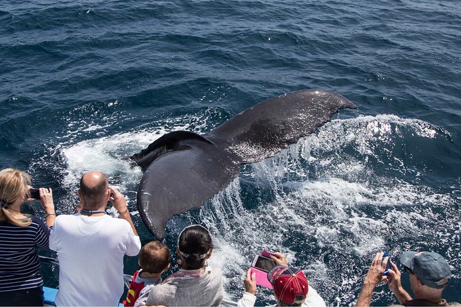 San Diego Explorer Pass: Save up to 50% - Includes San Diego Zoo - Limitations and Considerations