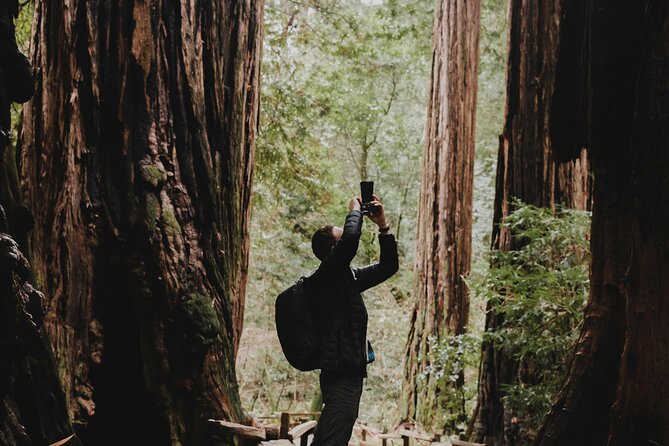 San Francisco, Golden Gate, Sausalito and Muir Woods Private Tour - Pricing and Booking Information
