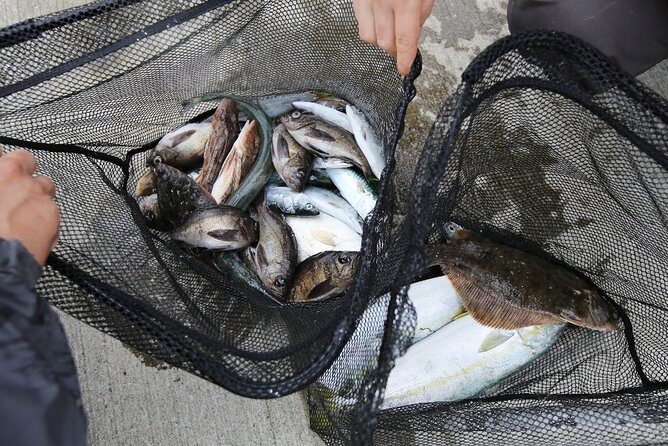 Sanriku Geopark Fishing Industry Field Trip - Savoring the Local Seafood Delights