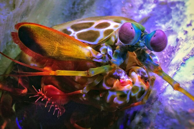 SEA LIFE Michigan Aquarium Admission Ticket - Location and Directions