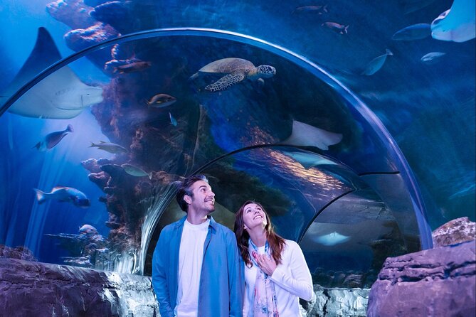 SEA LIFE San Antonio Admission Ticket - Booking Process and Cancellation Policy