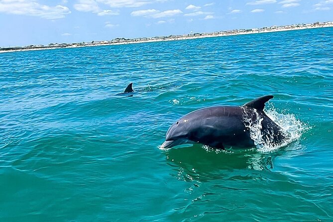 Sea Screamer Cruise - 2 Hour Dolphin Watch Tour in South Carolina - Traveler Tips and Recommendations