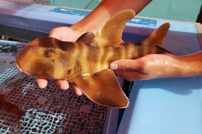 Seawater Fishing Pond and Hamayaki Grill BBQ Experience - What to Expect at the Fishing Pond and BBQ Area