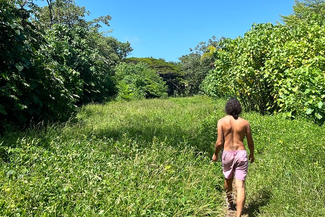 Secret Jungle Tide Pool Hike - Private - Exploring the Tide Pool
