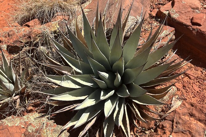 Sedona Magical Sightseeing Highlight Tour- 5 Stars - Booking Information
