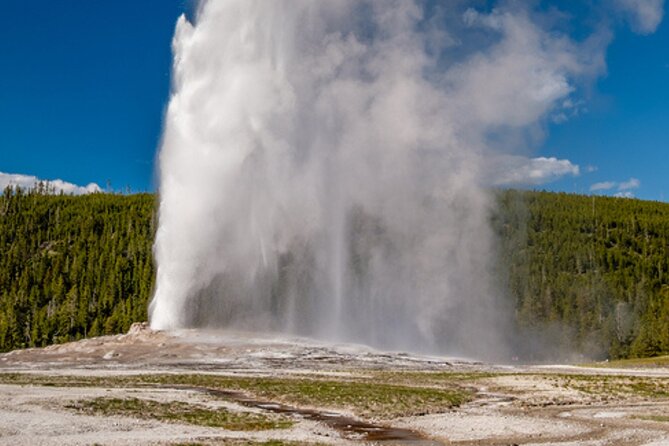 Self-Guided Audio Driving Tour in Yellowstone National Park - Pricing and Special Offers