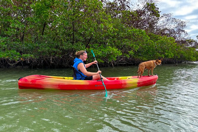 Self Guided EcoTour: Clear/Standard Kayaks -Bonita Springs - Kayaking Highlights