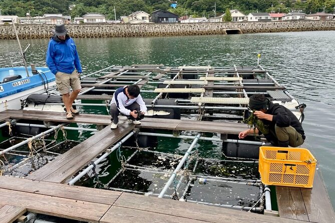 Setouchi Fishing and Culinary Adventure - Exploring the Seto Inland Sea