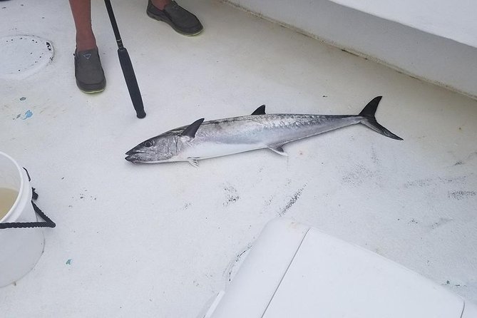 Shared Deep Sea Fishing Trip - Tips for a Successful Fishing Trip