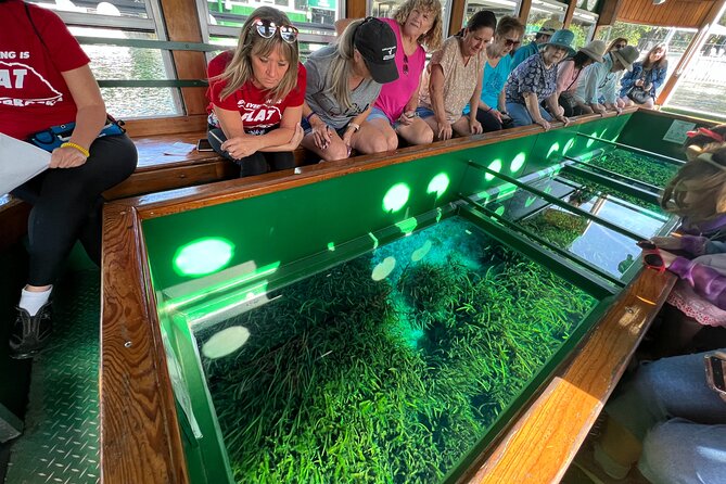 Silver Springs and Glass-Bottom Boat Tour From Orlando - The Sum Up