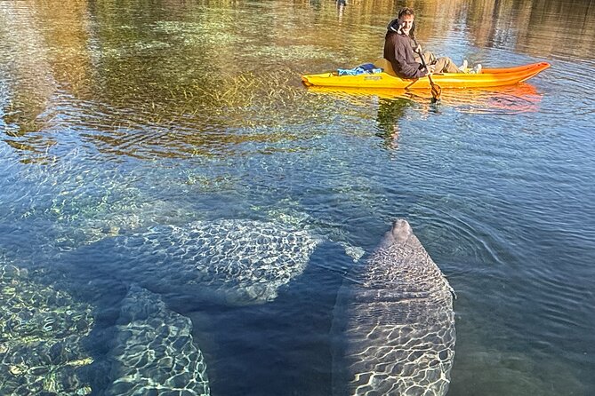 Silver Springs Premium Florida Manatee & Wildlife Experience - Accessibility and Age Restrictions
