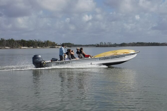 Small-Group Everglades Boating Kayaking and Walking Eco Tour - Walking Tour