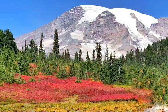 Small Group Mt Rainier National Park Day Tour From Seattle 2CANGO - Weather Impact
