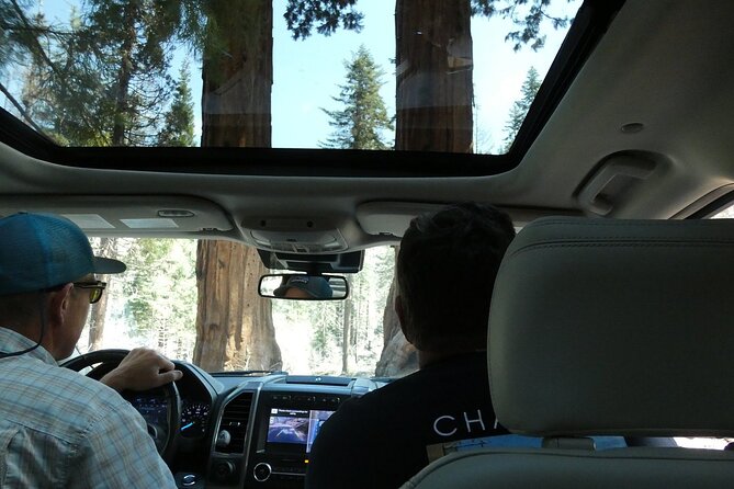 Small Group Sequoia Tour From Wuksachi Lodge With Lunch - Accessibility Features