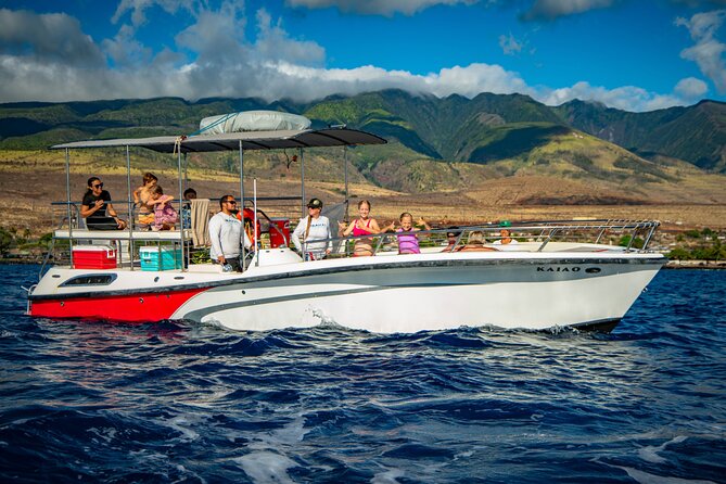 Small-Group Whale Watching Adventure - Whale Sightings and Behaviors