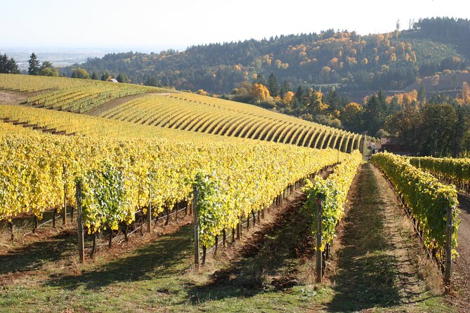 Small Group: Willamette Valley Wine Tour From Portland (Tasting Fees Included) - Booking and Pricing Information