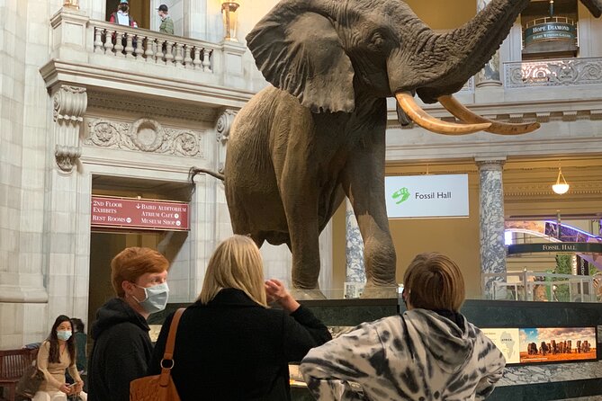 Smithsonian National Museum of Natural History With Guided Tour - Common Issues to Consider