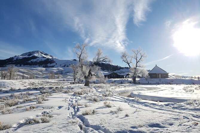 Snowshoe or XC Ski in North Yellowstone (Half Day) - Physical Requirements and Accessibility