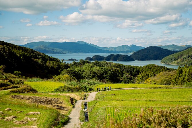 Spectacular Terraced Rice Field Walking Experience - Health and Accessibility Considerations