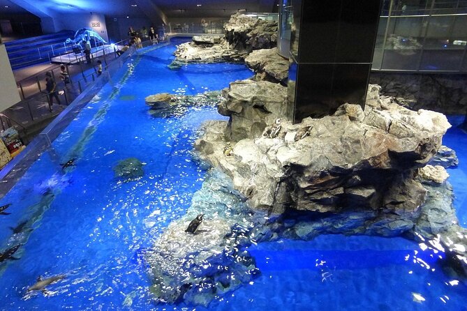 Sumida Aquarium Ticket Tokyo - Contact Information for Assistance