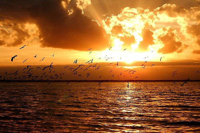 Sunset Bioluminescence Tour - Tour Duration and Inclusions