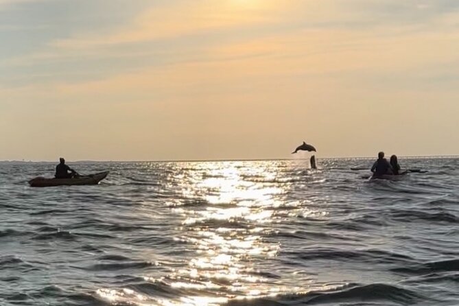Sunset Kayaking With Dolphins - Booking and Cancellation