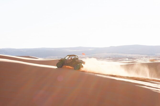 Sunset UTV Ride With Smores N Stars at Coral Pink Sand Dunes - Reviews and Ratings From Previous Participants