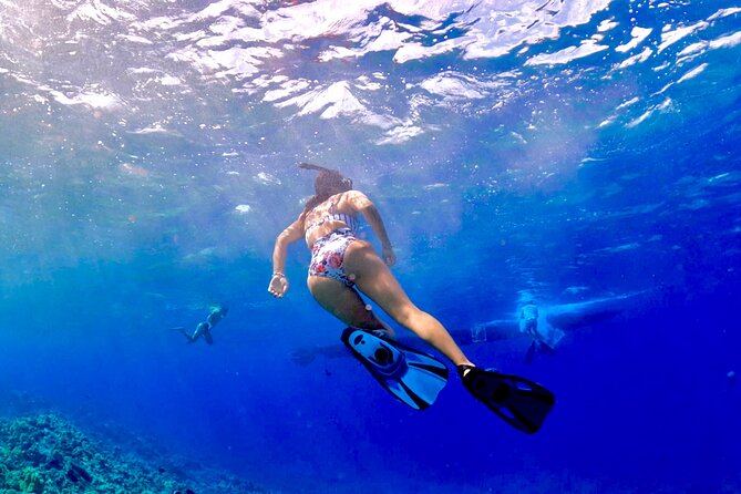 Super Raft - Private Charter Maui 3 Hour Snorkel to Coral Gardens or Molokini - Exploring Coral Gardens or Molokini Crater
