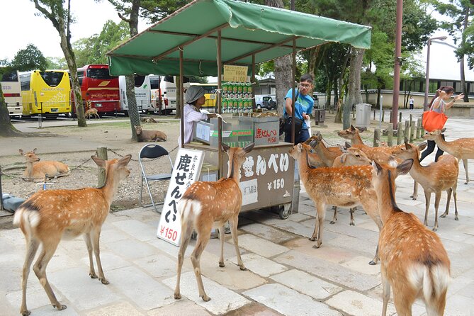 Taste of Nara A Guided Half Day Food Tour Tailored to Your Taste - Booking Information