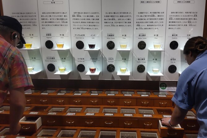 Tea Museum, Shizuoka and Guinness World Records Bridge C-G - Exploring the Tea Museum
