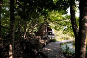The Royal Saltworks - Exploring the Surrounding Nature
