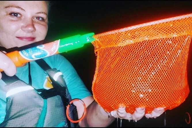 Thousand Islands Mangrove Tunnel & Bio Comb Jelly Sunset Tour - Kayaking Through Mangrove Tunnels