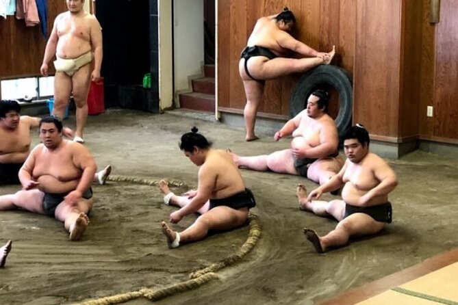 Tokyo 5hr Private Tour & Sumo Wrestler Morning Practice Viewing - Sumo Wrestler Morning Practice Viewing