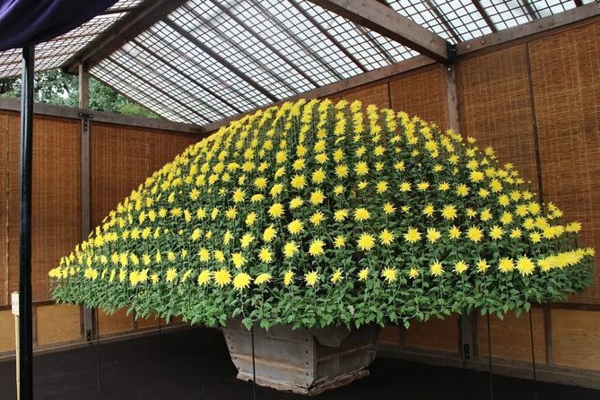 Tokyo Autumn Gardens, Private Walking Tour by Trains, Subways - Booking Information
