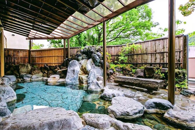 Tokyo Cherry Blossom, Hot Spring, and Strawberry Picking Tour - Exploring Cherry Blossoms in Tokyo