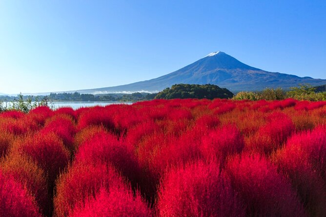 Tokyo: Mt. Fuji and Lake Kawaguchi 1-Day Luxury Bus Tour - Reviews
