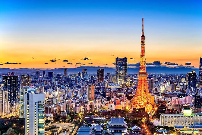 Tokyo Night Tour With English Speaking Driver - Dining Experience During the Tour