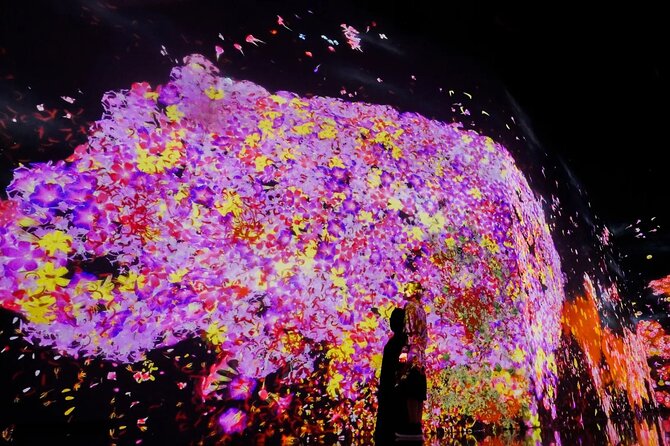 Tokyo: Teamlab Borderless Museum Admission Ticket - Booking Information
