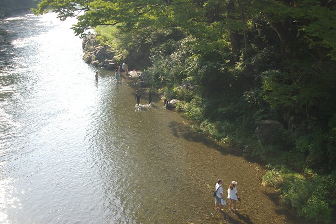 Tokyos Oldest Sake Brewery and Jump Into Historic Town - Booking Information