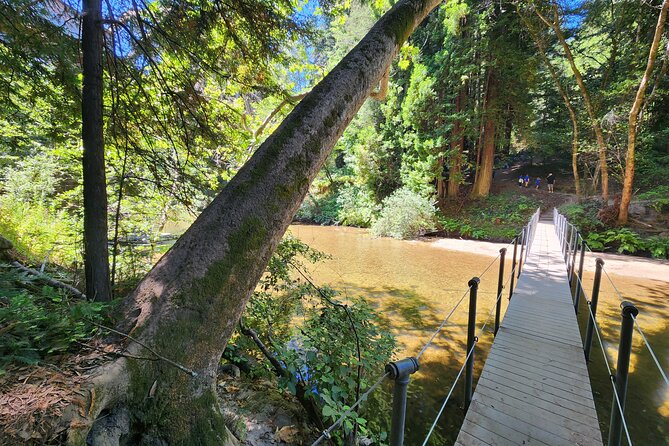Train Ride Adventure Through Mother Natures Giant Redwoods Park - Exploring Mother Natures Giant Redwoods