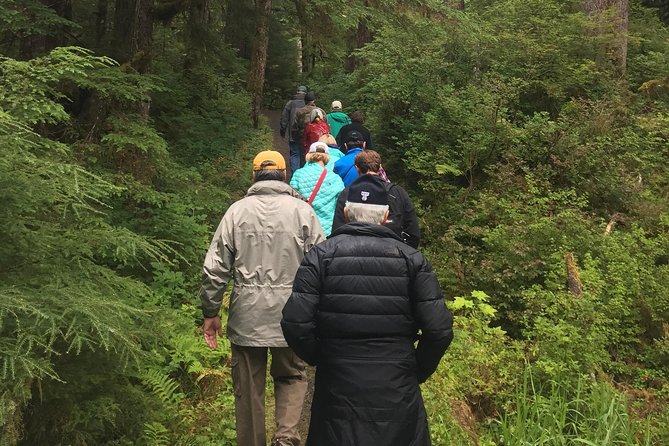 Traitors Cove Bear Viewing - Photographic Opportunities