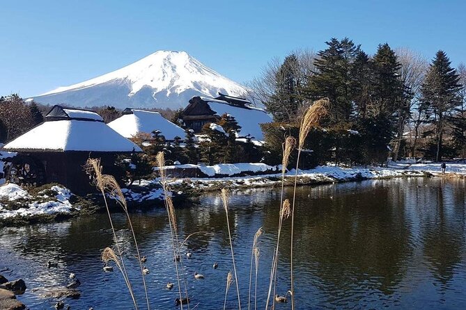 Trip to Mt Fuji and Lake Kawaguchiko With English Speaking Driver - Public Transportation Convenience