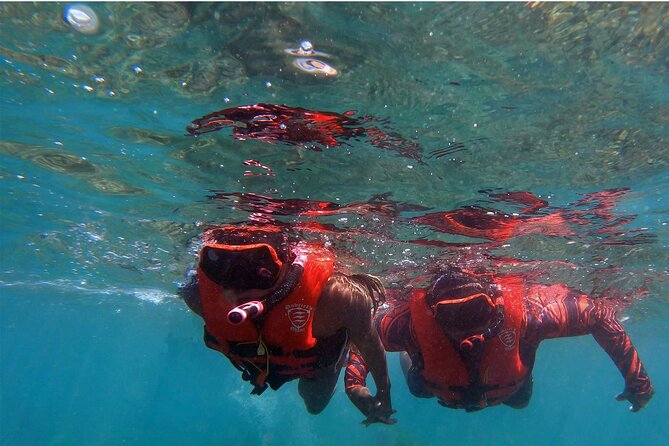Unlimited Guided Whale Watch by Kayak-Olowalu - Sustainability and Community Support