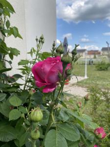 Villa Bellagio Amboise by Popinns - The Sum Up