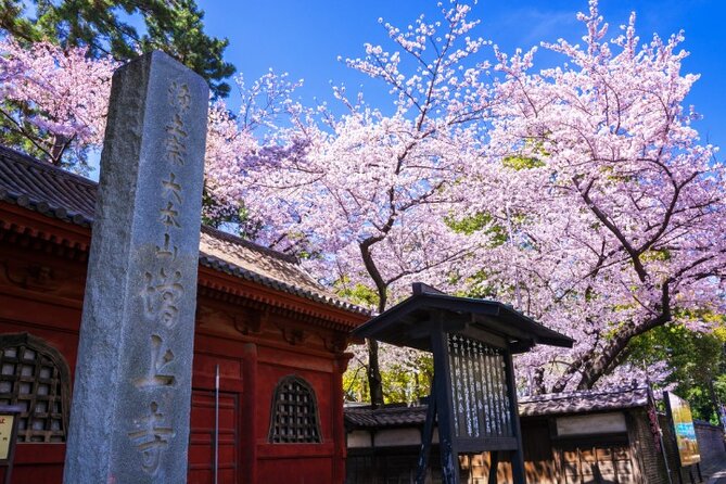 VIP Cherry Blossom Tour by Limousine With Exclusive Dinner - Inclusions and Exclusions