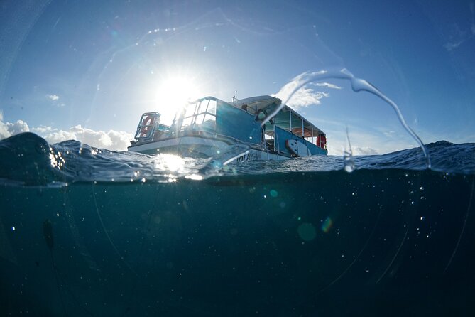 Waikiki Snorkel Tour - Snorkeling Highlights