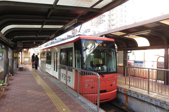 Walking Discovery Tour of Hidden Neighborhoods of Tokyo - Booking Information