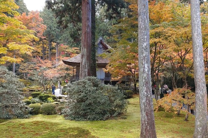 Walking Tour in Ohara Discover the Tranquil Beauty of Kyoto - Exploring the Charming Village of Takao