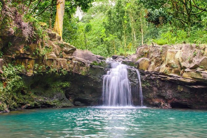 Waterfall & Rainforest Hiking Adventure With Hotel Pickup - Immerse in the Islands Natural Beauty